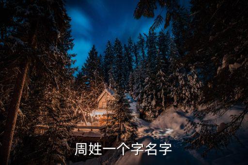 周姓一個字名字