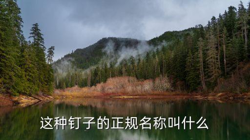 這種釘子的正規(guī)名稱叫什么