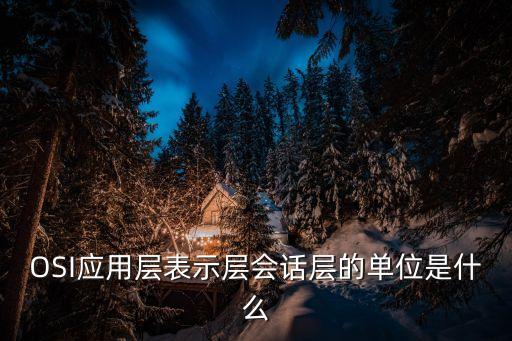 OSI應(yīng)用層表示層會話層的單位是什么