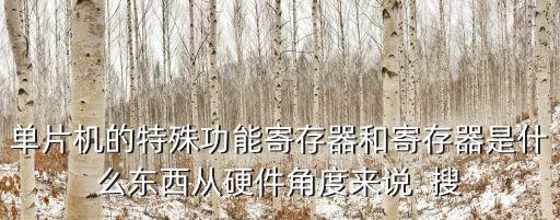 單片機的特殊功能寄存器和寄存器是什么東西從硬件角度來說  搜
