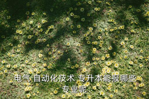  電氣 自動(dòng)化技術(shù) 專升本能報(bào)哪些專業(yè)呢