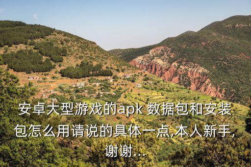 安卓大型游戲的apk 數據包和安裝包怎么用請說的具體一點,本人新手,謝謝...