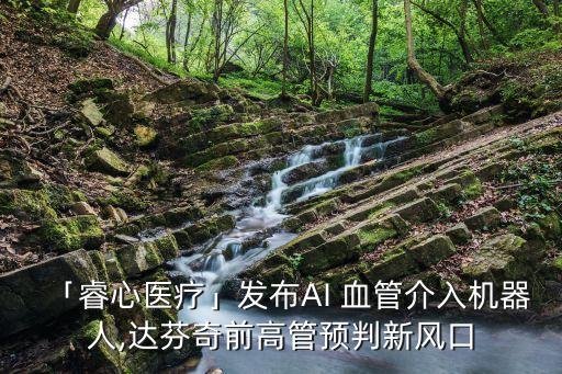 國外達(dá)芬奇機(jī)器人,達(dá)芬奇拍照機(jī)器人怎么使用