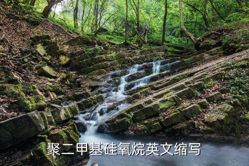 pdms，聚二甲基硅氧烷英文縮寫(xiě)