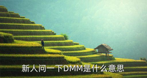 新人問一下DMM是什么意思