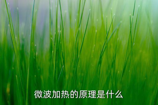 微波爐加熱原理，微波加熱的原理是什么