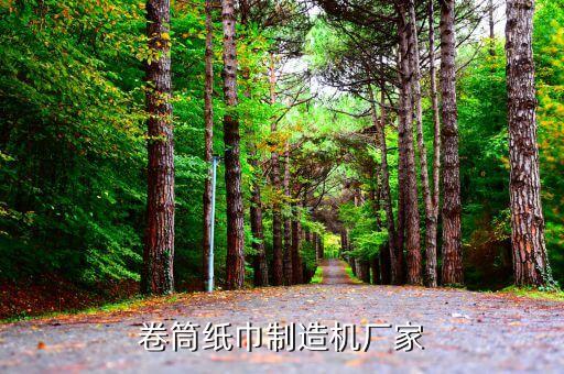 紙巾生產(chǎn)設(shè)備半自動化,了解紙巾生產(chǎn)設(shè)備有哪些?