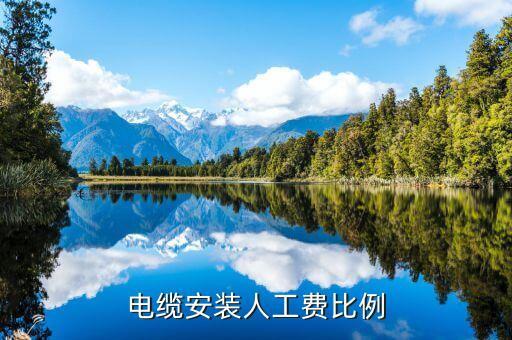 自動(dòng)化設(shè)備安裝費(fèi)用,鋰電池自動(dòng)化設(shè)備安裝與調(diào)試