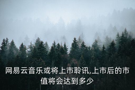 網(wǎng)易云音樂或?qū)⑸鲜旭鲇?上市后的市值將會(huì)達(dá)到多少