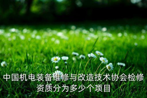 中國(guó)機(jī)電裝備維修與改造技術(shù)協(xié)會(huì)檢修資質(zhì)分為多少個(gè)項(xiàng)目