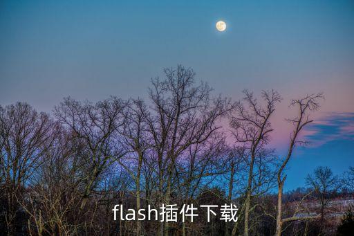 flash插件下載