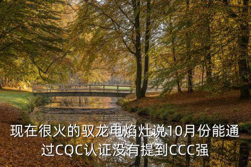 現(xiàn)在很火的馭龍電焰灶說10月份能通過CQC認(rèn)證沒有提到CCC強(qiáng)