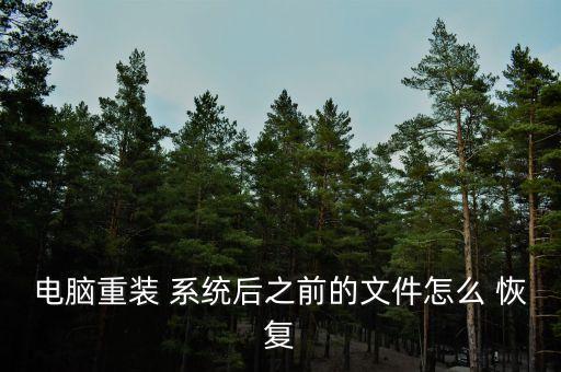 電腦重裝 系統(tǒng)后之前的文件怎么 恢復(fù)