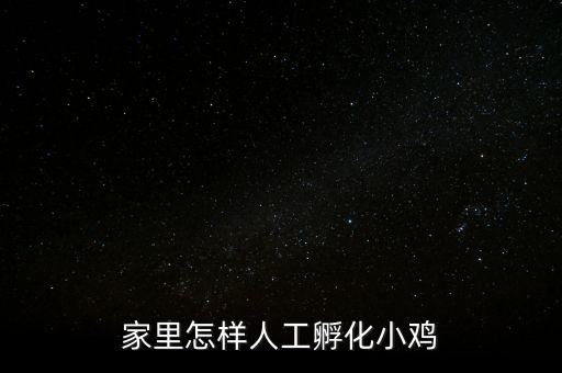 家里怎樣人工孵化小雞