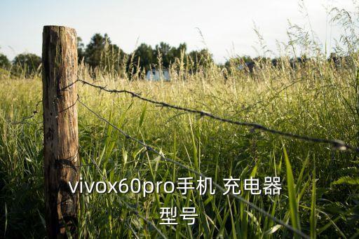 vivox60pro手機(jī) 充電器 型號(hào)