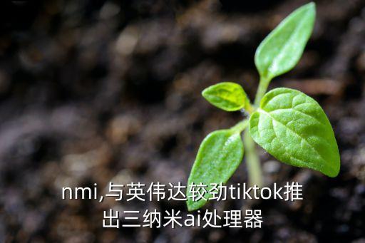hanmi,與英偉達(dá)較勁tiktok推出三納米ai處理器
