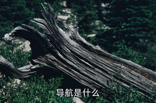 導航是什么