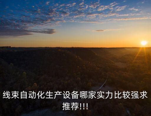 線束自動化生產(chǎn)設(shè)備哪家實(shí)力比較強(qiáng)求推薦!!!