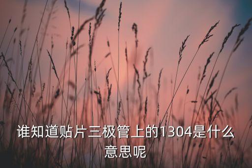 誰知道貼片三極管上的1304是什么意思呢