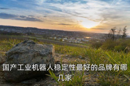 國產(chǎn)工業(yè)機器人穩(wěn)定性最好的品牌有哪幾家