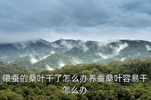 自動化喂桑葉設(shè)備設(shè)計,全自動化養(yǎng)豬設(shè)備促進經(jīng)濟效益提升