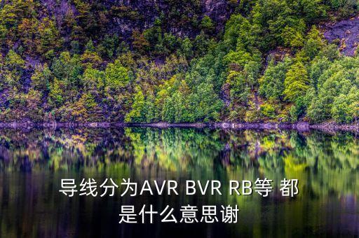 RVB，導(dǎo)線分為AVR BVR RB等 都是什么意思謝