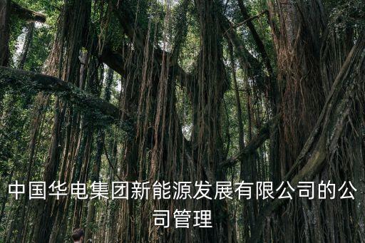 中國華電集團(tuán)新能源發(fā)展有限公司的公司管理