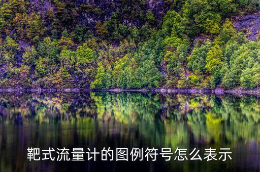 靶式流量計的圖例符號怎么表示