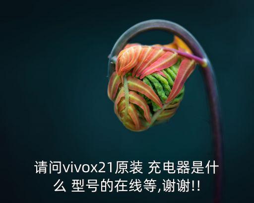 請(qǐng)問vivox21原裝 充電器是什么 型號(hào)的在線等,謝謝!!