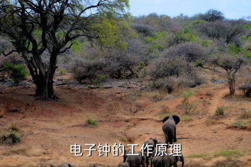 電子時鐘，電子時鐘原理