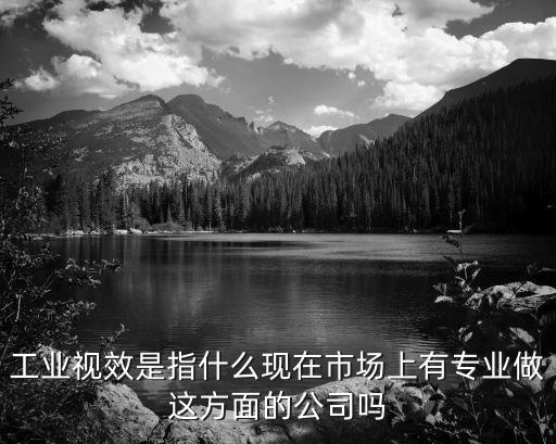 工業(yè)視效是指什么現(xiàn)在市場上有專業(yè)做這方面的公司嗎