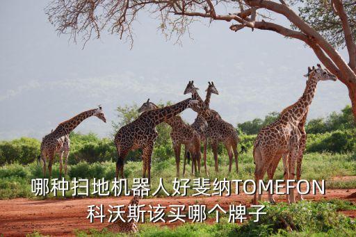 哪種掃地機(jī)器人好斐納TOMEFON科沃斯該買哪個(gè)牌子