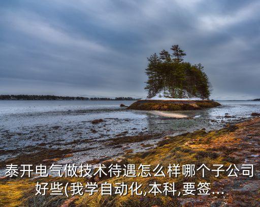 泰開集團自動化公司,泰安泰開集團分幾個分公司