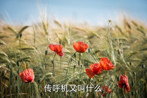 傳呼機(jī)，傳呼機(jī)是什么