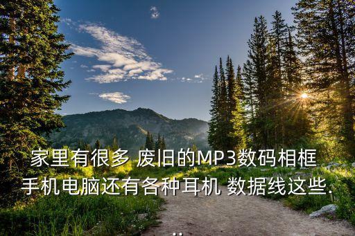 家里有很多 廢舊的MP3數(shù)碼相框 手機(jī)電腦還有各種耳機(jī) 數(shù)據(jù)線這些...
