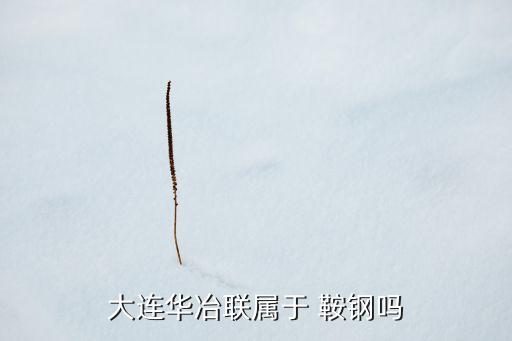 大連華冶聯(lián)屬于 鞍鋼嗎