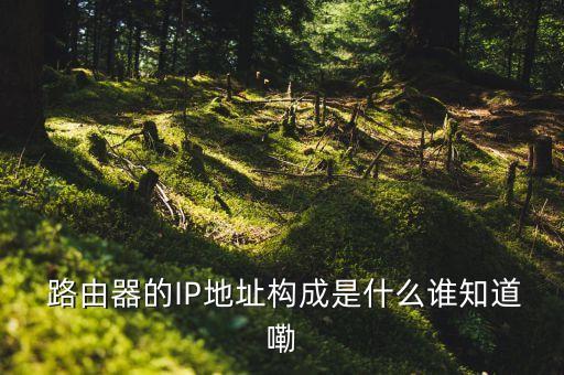 極路由數(shù)據(jù)線