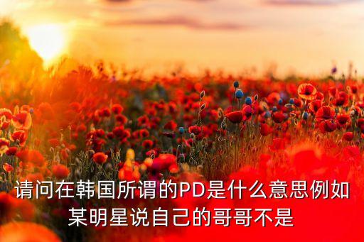 請(qǐng)問在韓國所謂的PD是什么意思例如某明星說自己的哥哥不是