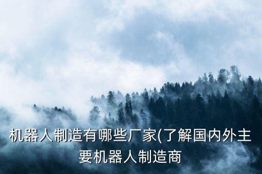 機(jī)器人制造有哪些廠家(了解國內(nèi)外主要機(jī)器人制造商