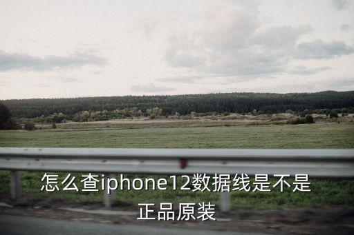 酷似蘋(píng)果數(shù)據(jù)線,蘋(píng)果原裝數(shù)據(jù)線怎么買(mǎi)到合格的?