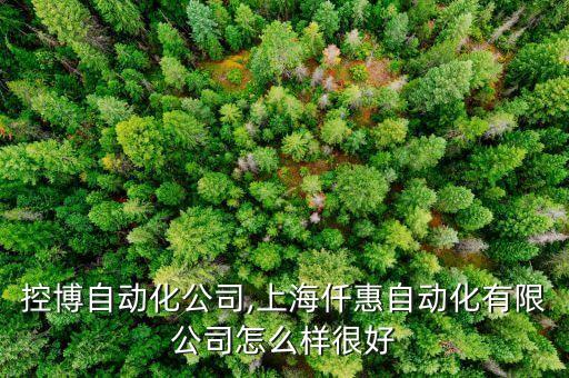 上?？夭┳詣踊?上海仟惠自動化有限公司怎么樣很好?