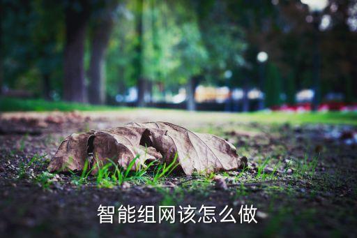 組網(wǎng)方案，智能組網(wǎng)該怎么做