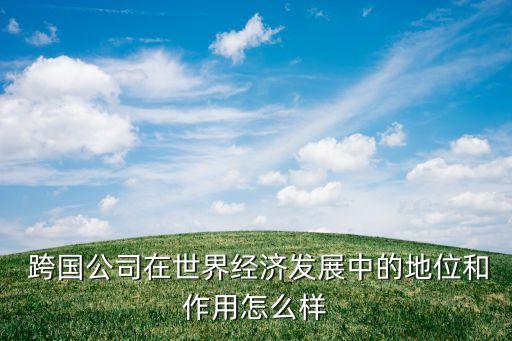  跨國公司在世界經(jīng)濟發(fā)展中的地位和作用怎么樣