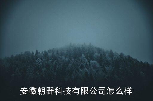 上海寧路自動化設(shè)備有限公司,安徽朝野科技有限公司怎么辦?