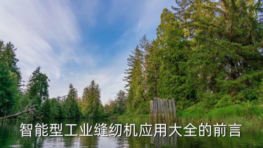 智能型工業(yè)縫紉機(jī)應(yīng)用大全的前言
