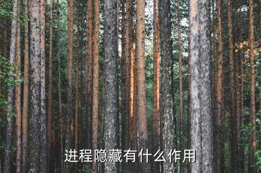 進(jìn)程隱藏有什么作用