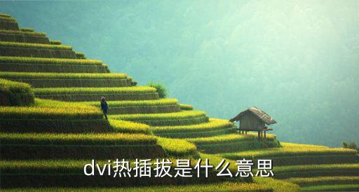 dvi熱插拔是什么意思