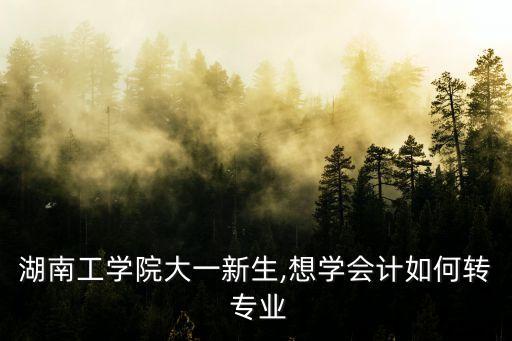 湖南工學(xué)院大一新生,想學(xué)會計(jì)如何轉(zhuǎn) 專業(yè)