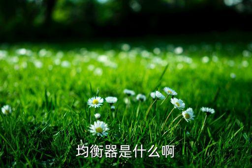 均衡器是什么啊