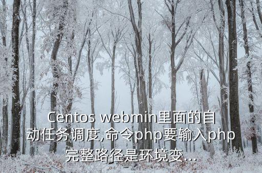 Centos webmin里面的自動任務調(diào)度,命令php要輸入php完整路徑是環(huán)境變...